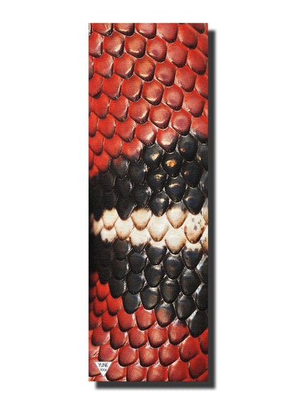 Ascend Yoga Mat Snake Mat - Lolo Overland Outfitting