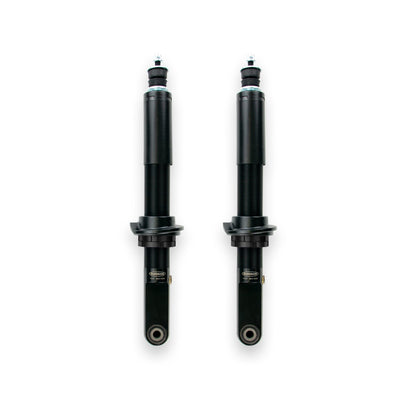 Dobinsons Pair of Front IMS Struts (IMS19-50096) - Lolo Overland Outfitting