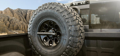 AEV VERTICAL TIRE MOUNT FOR GLADIATOR, HD RAM AND COLORADO - Lolo Overland Outfitting